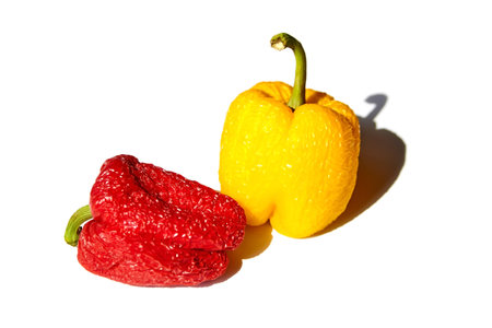 Spoiled wrinkled red and yellow peppers isolated on white background