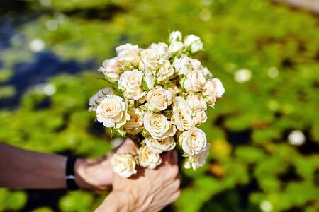 Wedding bouquet of cream roses. Female hands with bridal flowers on a background of water liliesの写真素材