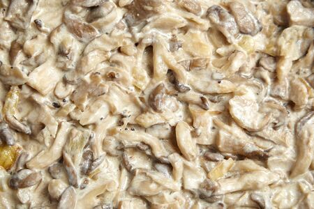 Oyster mushrooms cooked in sour cream sauce. Food texture background, top viewの写真素材