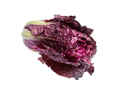 Red Chinese cabbage (Purple wombok) isolated on white background. Red Napa cabbage with vibrant colored leavesの写真素材