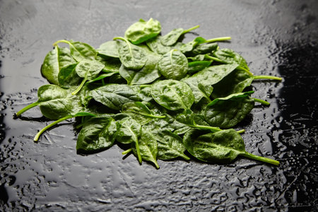 Spinach fresh green leaves with water drops on a black background. Healthy food, vegetable salad...