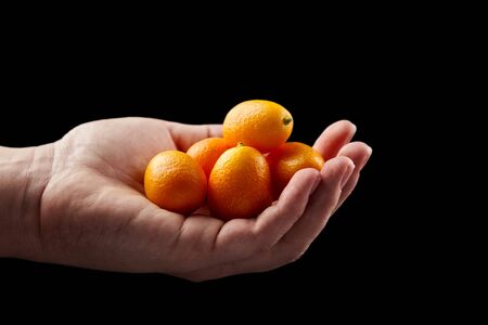 Kumquat, fresh citrus fruits, Nagami variety. Handful, heap of cumquats in hand isolated on black background. Eaten whole, healthy food. Fistful of fortunella or kinkan ripe fruits, selective focusの写真素材