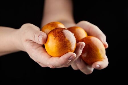 Blood oranges (red oranges) in hands on black background. Person holging handful of whole citrus fruits with red yellow peel, selective focusの写真素材