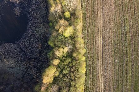 Aerial landscape. Field, forest and overgrown riverside. Aerial shot of farmland and green trees. Plowed soil, field with rural road, trees, top viewの写真素材