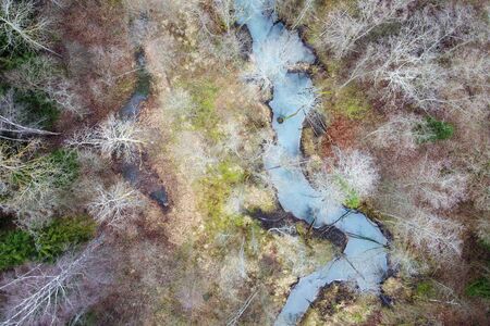 Forest, river, tree crowns, aerial landscape. Ecosystem, nature at early spring time. Tops of birch trees and spruces, aerial viewの写真素材