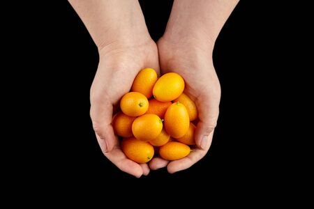Kumquat, fresh citrus fruits, Nagami variety. Handful, heap of cumquats in hands isolated on black background, top view. Eaten whole, healthy food. Fistful of fortunella or kinkan ripe oval fruitsの写真素材