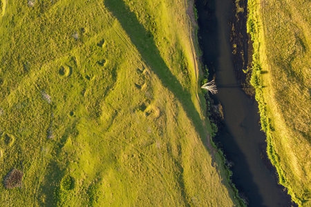 Aerial view of small river with a dry tree on a bank, green grass. Summer landscape, top view