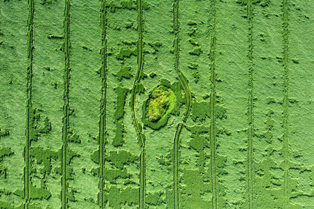 Aerial view of green agricultural field with abstract patterns. Traces of the wheels in the field....