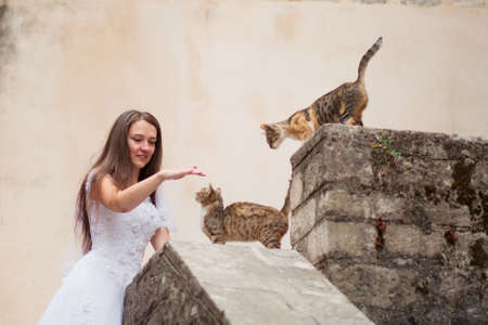 Woman playing with cats on the street. The bride with a white wedding dress stroking dirty stray animals. Homeless cats often carry dangerous diseases, toxoplasmosis infection riskの写真素材