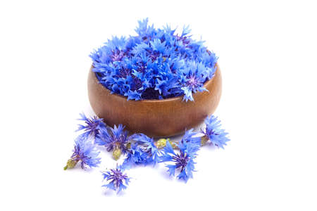Medicinal herb isolated. Blue fresh cornflower buds with petals in wooden bowl isolated on white background.の写真素材