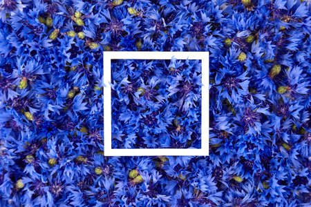 Floral composition - blue cornflowers creative frame layout, flowers flat lay, copy spaceの写真素材