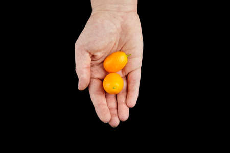Kumquat, fresh citrus fruits, Nagami variety. Two cumquats in hand isolated on black background, top view, selective focus. Eaten whole, healthy food, raw dietの写真素材