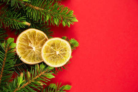 Dried orange slices with green christmas tree branches on red background. Christmas time composition. Top view, copy space.の写真素材