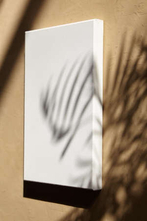 Mockup white canvas hanging on beige wall with dark shadows of leaves. Poster mockup, stretched blank cotton canvasの写真素材