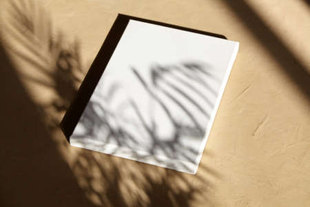Blank canvas on beige surface with shadow from leaves. Mockup, stretched white cotton canvasの写真素材