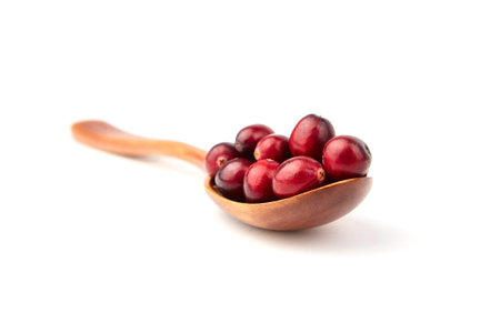 Cranberries in wooden spoon isolated on white background. Fresh red ripe cranberry autumn berries