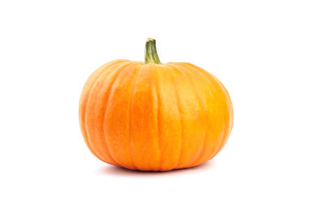 Isolated pumpkin. Fresh autumn pumpkin isolated on white backgroundの写真素材