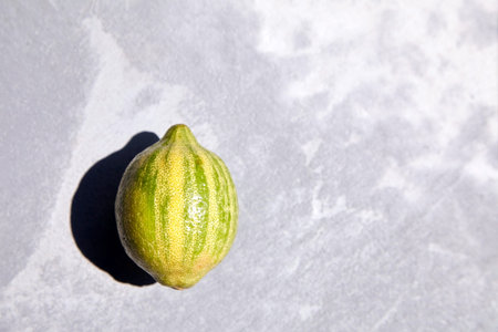 Variegated pink lemon or pink-fleshed Eureka lemon on gray concrete background with copy space, top...