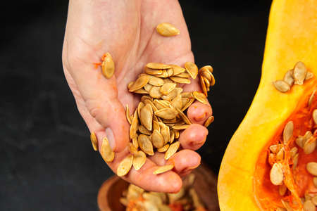 Woman removing pumpkin seeds and stringy fibers. Cooking sweet winter squash, fall resipe. Butternut squash, female hands with pumpkin half on black background, closeup, selective focusの写真素材