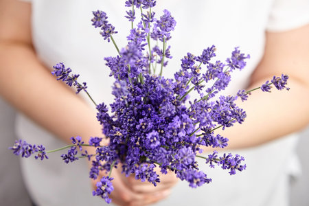 Natural blooming lavender flowers bouquet in woman hands