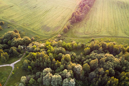 Aerial view of rural road between green field and forest at sunset time. European nature.の写真素材