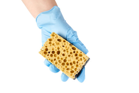 Person holding household sponge from reticulated foam isolated on white background. Hand in blue nitrile glove with yellow black sponge for washing dishes with detergent foamの写真素材