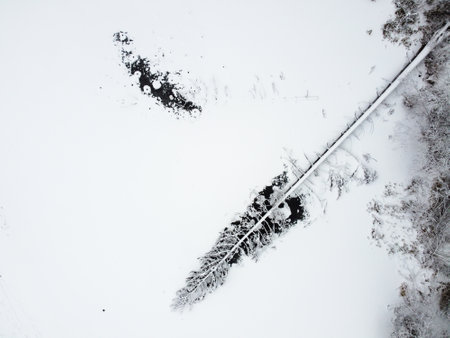 Winter forest with snowy trees, aerial view. Winter nature, aerial landscape with frozen river, trees covered white snowの写真素材