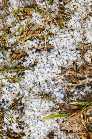 Graupel or snow pellets on ground, top view. Form of precipitation falls in winter storms. Graupel...