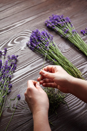 Florist sorting fresh lavender flowers for making a lavender bouquet over dark wooden background.の写真素材