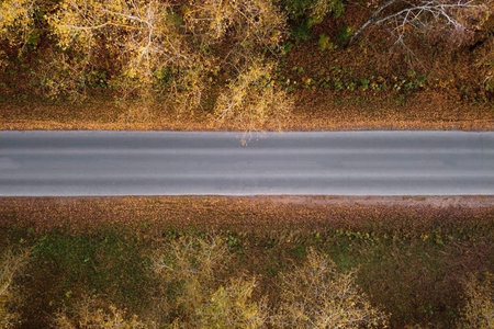 Aerial view of road in autumn forest, trees with yellow foliage, top view. Fall colors nature,...