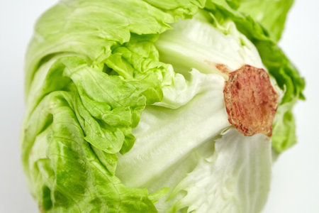 Iceberg lettuce, leafy green vegetable isolated on white background, closeup, selective focusの写真素材