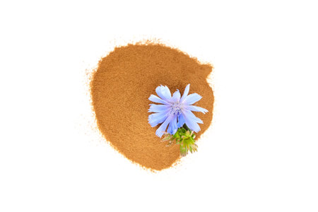 Chicory root powder with blue flower isolated on white background. Chicory coffee, organic food additive, top viewの写真素材