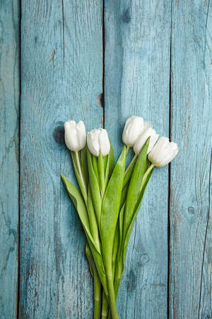 White flowers, fresh tulips on light blue wooden background, bouquet of spring flowersの写真素材