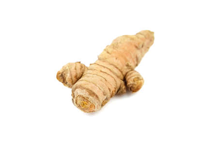 Curcuma root isolated on white background. Turmeric rhizome. Oriental spiceの写真素材