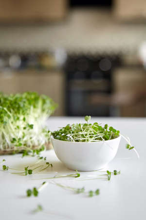 Microgreen arugula sprouts in bowl on white table. Cutted micro greens shoots in bowlの写真素材