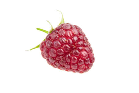 Fresh raspberry fruit isolated on white background. Single red raspberry, sweet summer berryの写真素材