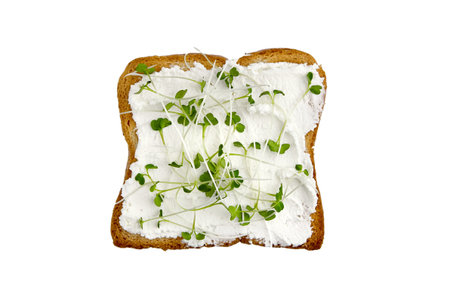 Toast bread slice with microgreens arugula shoots isolated on white background, top view. Toasted...