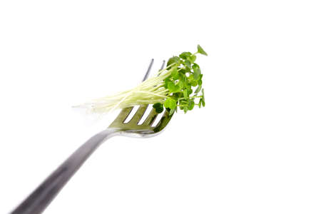 Microgreen sprouts, arugula shoots on fork isolated on white background. Young micro green shoots, healthy plant food conceptの写真素材