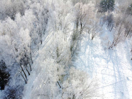 Winter landscape - birch trees covered hoarfrost, aerial view. Winter forest with snowy trees in sunny frosty day, top viewの写真素材