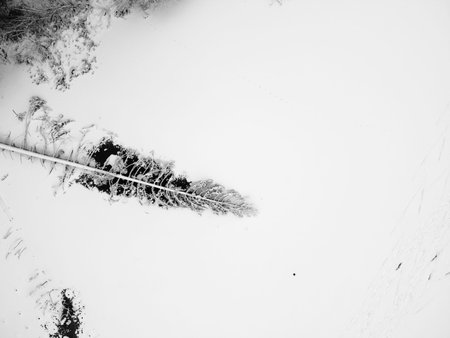 Winter forest with snowy trees, aerial view. Winter nature, aerial landscape with frozen river, trees covered white snow. Black and white photographyの写真素材