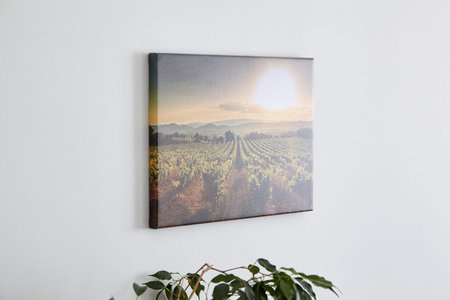 Canvas photo print with gallery wrap and green leaves of houseplant, interior decor. Landscape photography hanging on white wallの写真素材