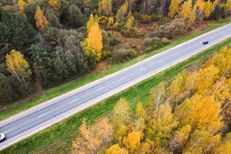 Aerial view of landscape with road in autumn forest with top trees colorful yellow foliageの写真素材