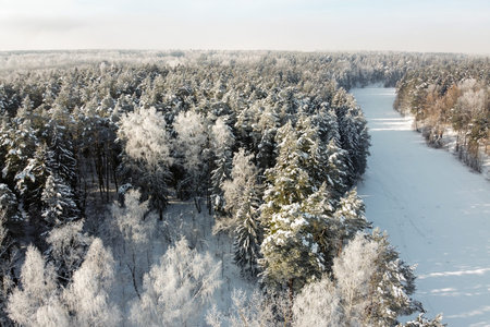 Winter landscape - frozen river and trees covered hoarfrost, aerial view. Winter forest with snowy...