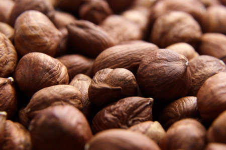 Shelled raw hazelnuts heap background closeup