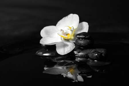 Spa stones with flower in water on black backgroundの写真素材