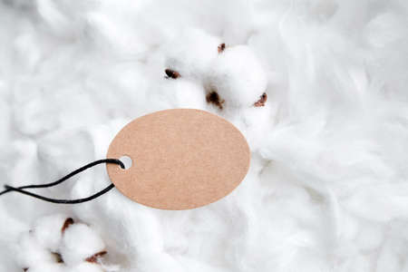 Label tag mockup with white cotton plant flowersの写真素材