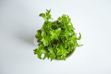 Fresh green mint leaves in white bowl on table, top view. Spearmint herb