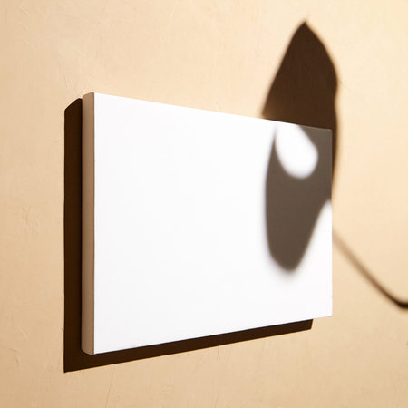 White canvas, blank picture mockup hanging on beige wall with dark shadows of leaves. Poster mock...