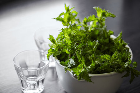 Fresh mint herb leaves in white bowl on wooden kitchen table. Green mint bunch. Cooking beverage with fresh mint herb ingredientの写真素材