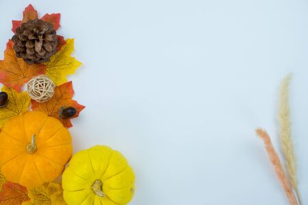 Frame of autumn leaves. Dried leaves, pumpkins, flowers on white background. Autumn, fall, Halloween, Thanksgiving day concept. Flat lay, top view, copy space.の写真素材